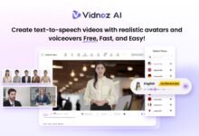 Overview of Vidnoz AI