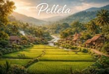 Pellela