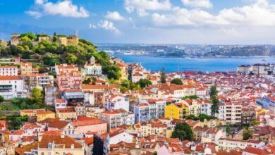 Portugal D Type Visas in 2026 A Complete Strategic Guide for Residency and Business Migration
