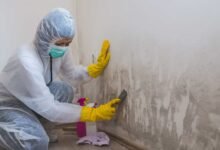 Mold Inspection Reports