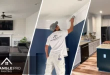 Triangle Pro Painting