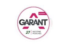 Raspberry Snus and the Sweet Spot Between Bold Flavor and Real Nicotine Delivery