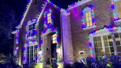 Holiday Lights Installation