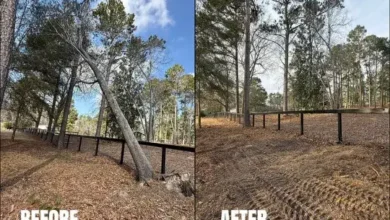 BW Tree Removal