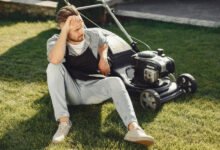 Why Some North Texas Lawns Stay Green All Summer (While Others Struggle)