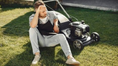 Why Some North Texas Lawns Stay Green All Summer (While Others Struggle)