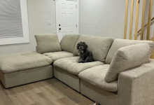 wjs home review