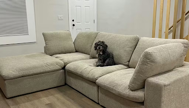 wjs home review
