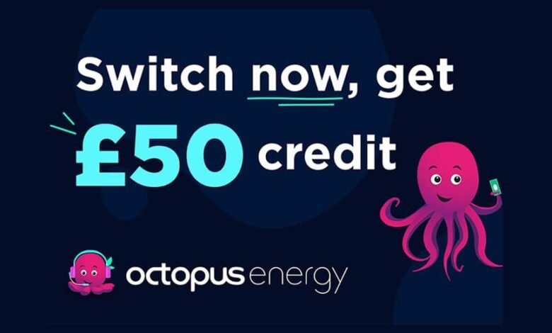 How Much Can You Save With an Octopus Energy Referral Code